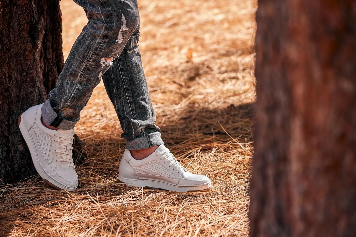 CALTO Men's Invisible Height Increasing Elevator Shoes - White/Off-White & Gum Sole Premium Leather Leather Lace-up Fashion Sneakers - 2.6 Inches Taller - Y7932 - Size 8 D(M) US